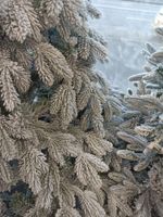 Заснеженная елка «Камчатская» (Литая+пвх) 5 м