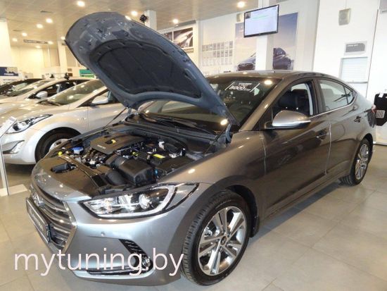 Амортизаторы (упоры) капота для Hyundai Elantra 6(VI)