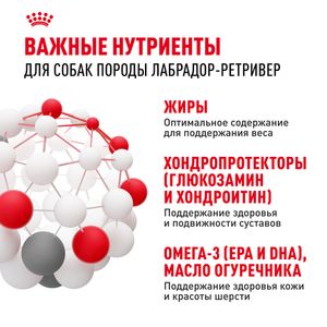 Уценка! Срок 09.2025/ Сухой корм Royal Canin Labrador Retriever Adult для взрослых собак породы Лабрадор Ретривер от 15 месяцев