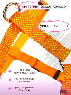 Шлейка NEO 1.5 см оранжевая