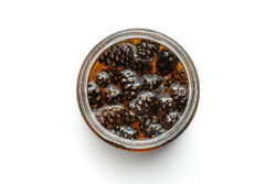 Сосновая шишка в меду