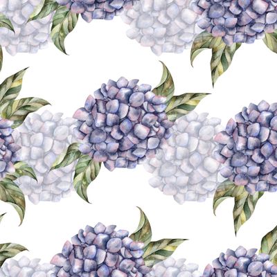 Гортензия с листьями на белом