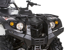 Квадроцикл BALTMOTORS Striker 500 EFI