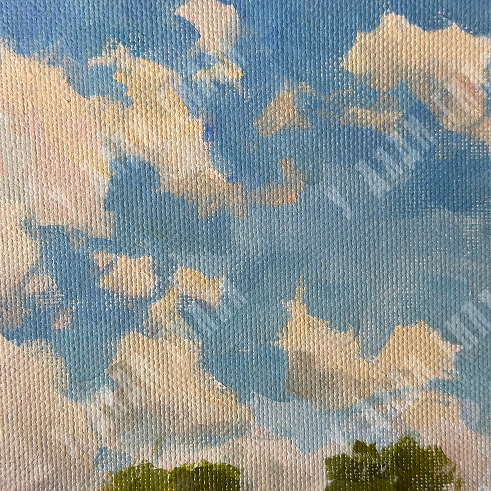 Трошина Елена Сергеевна (род. 1990). В поле. Холст, масло. Россия 2019.