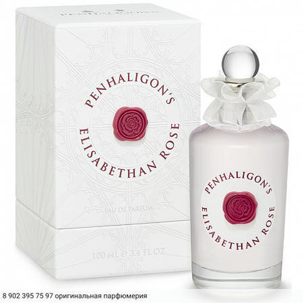 Elisabethan Rose 2018