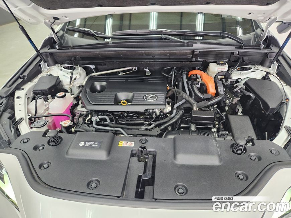 Lexus NX350h 2 Generation Luxury (11.2022)