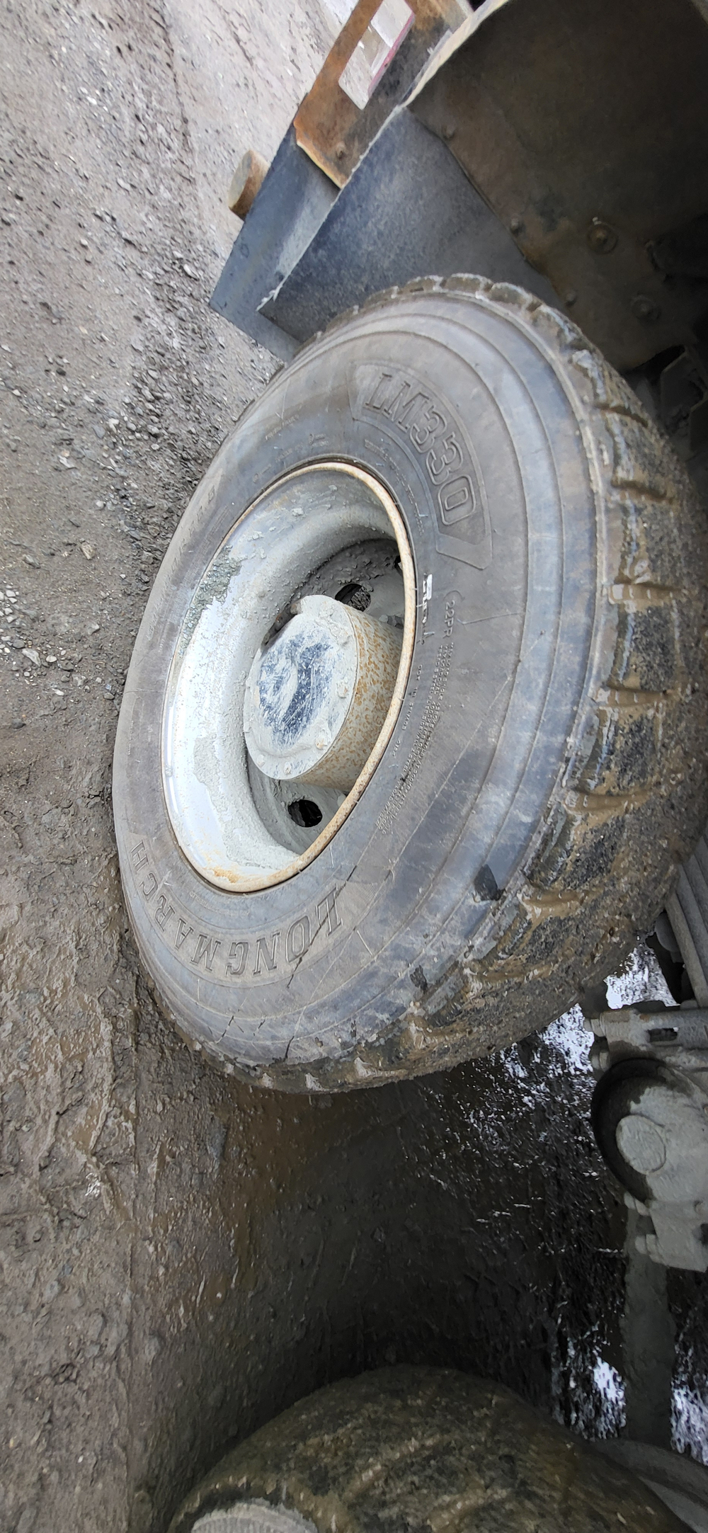 Shacman (Shaanxi) SX* 8x4 Самосвал SX33186V366 (Дизельный, 11,6 л, 423 л.с., МТ)