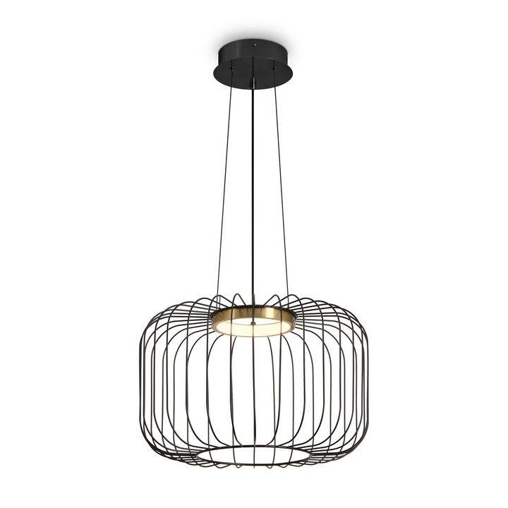 Подвесной светодиодный светильник Freya Citrus FR5398PL-L8B