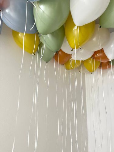 Акции и Палитра