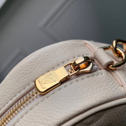 Louis Vuitton Tiny Camera Bag