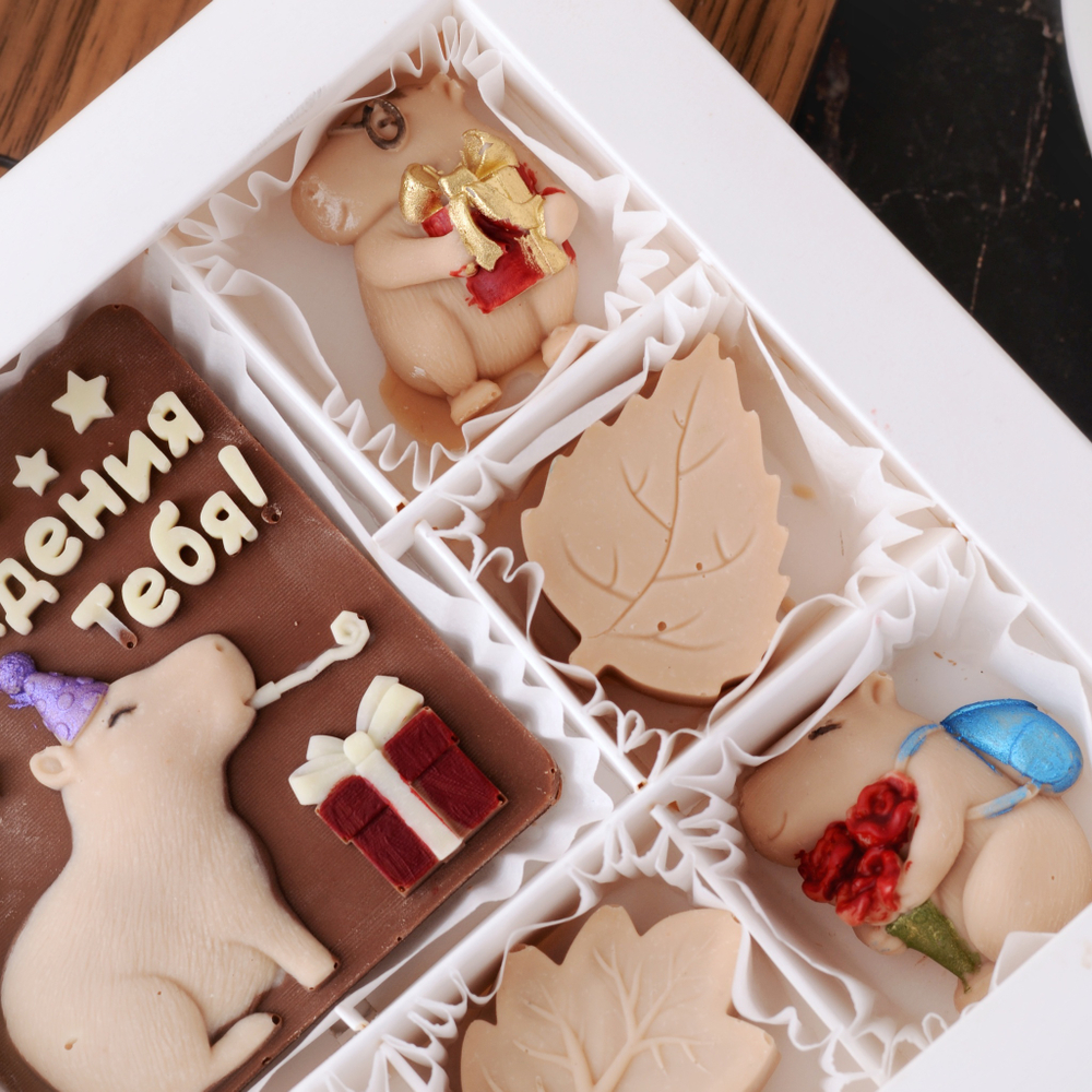 Набор "С днём рождения" с капибарами #4