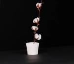 Софтбокс Raylab SPG6090 с сотами