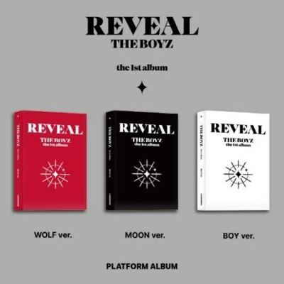 Альбом THE BOYZ - REVEAL 1st Album PLATFORM 3 Version SET