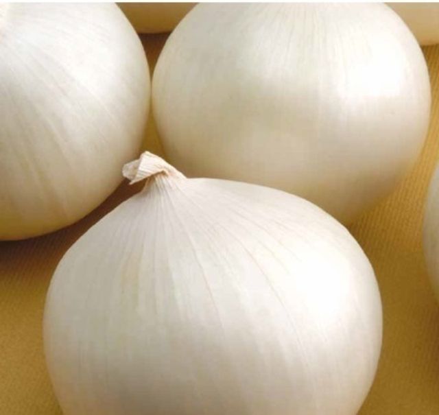 Лук