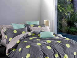 Постельное белье 2 спальное евро Asabella 1554-6