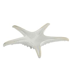 Блюдо для подачи 24 см h6 см Звезда Gray Starfish Frutti di Mare P.L. [1]