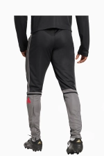 Штаны adidas Squadra 25 Training - черный