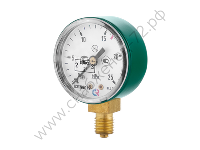 ТМ—210Р.00(0.25 MПa) M12х1.5.2.5 N2