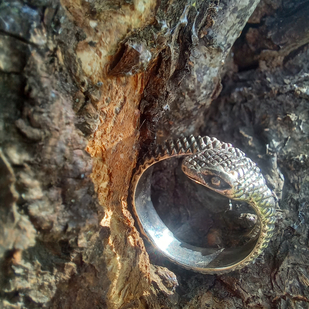 Кольцо ЗМЕЙ, серебро