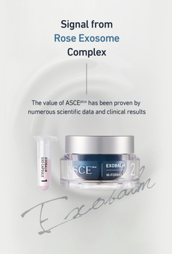ASCEplus EXOBALM - Восстанавливающий крем с экзосомами (пудра + крем), 20 мг + 20 мл
