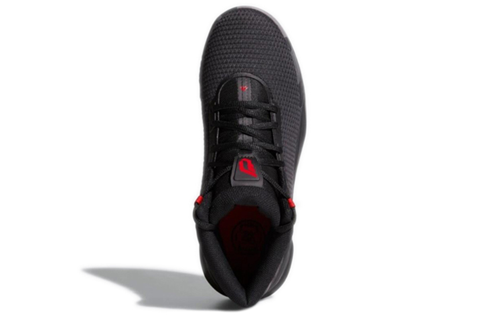 Кроссовки Adidas D Lillard Brookfield