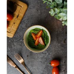 Салатник 360 мл d 12,8 см h5,5 см зеленый фарфор "The Sun Eco" P.L. Proff Cuisine [6]