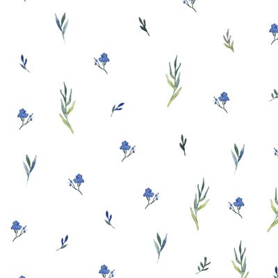 Минималистичные синие цветочки и травинки