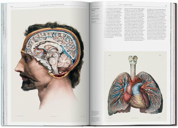 Science Illustration: A History of Visual Knowledge from the 15th Century to Today