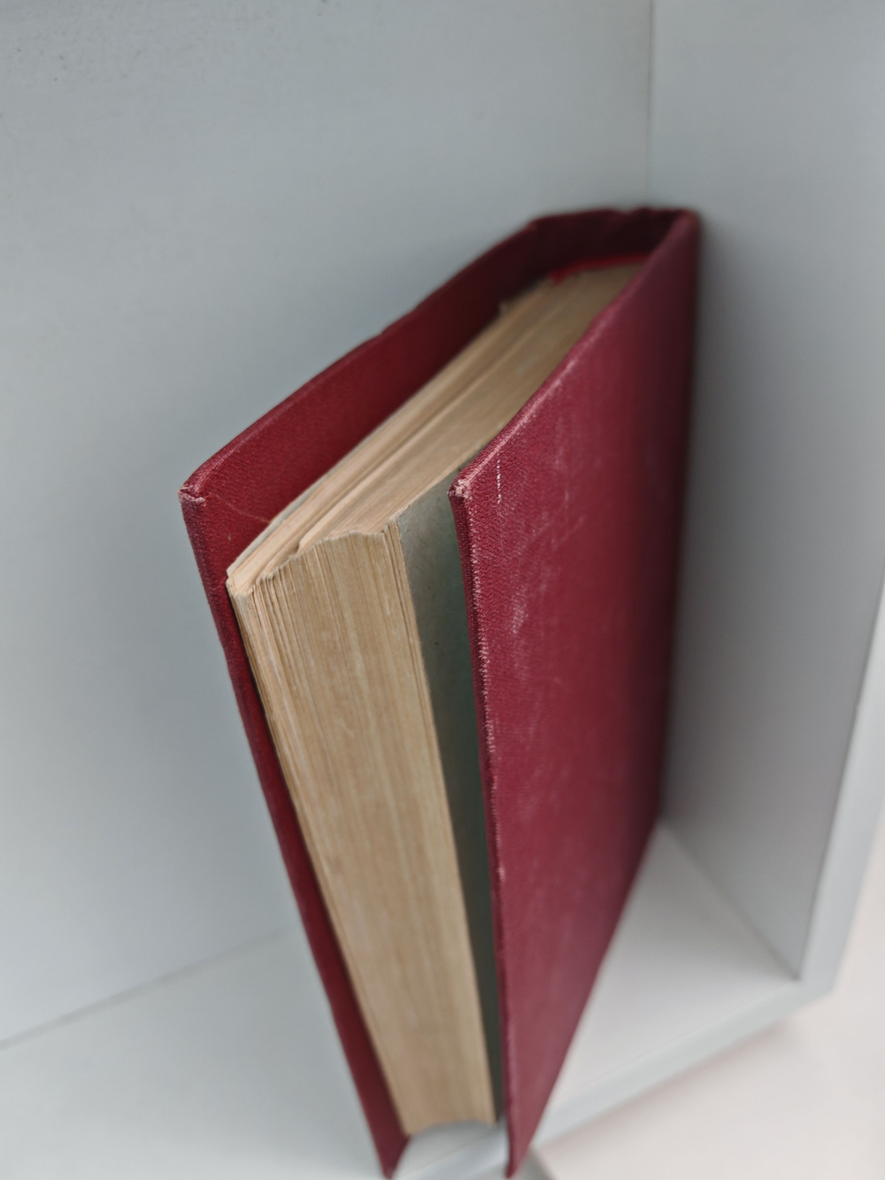 Полное собрание сочинений А. К. Шеллера-Михайлова. Том 10. Семья Муратовых