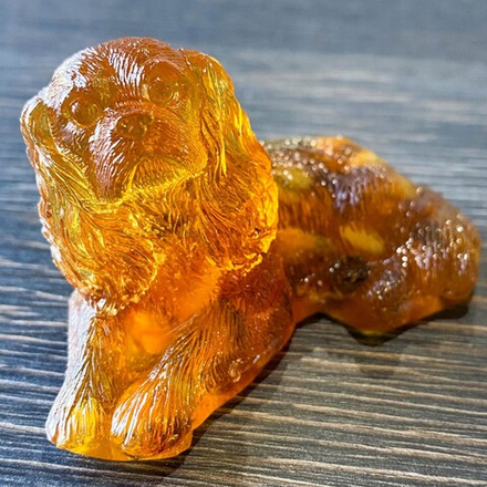 Спаниель лежит