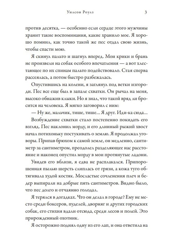 Там, где папоротник красный