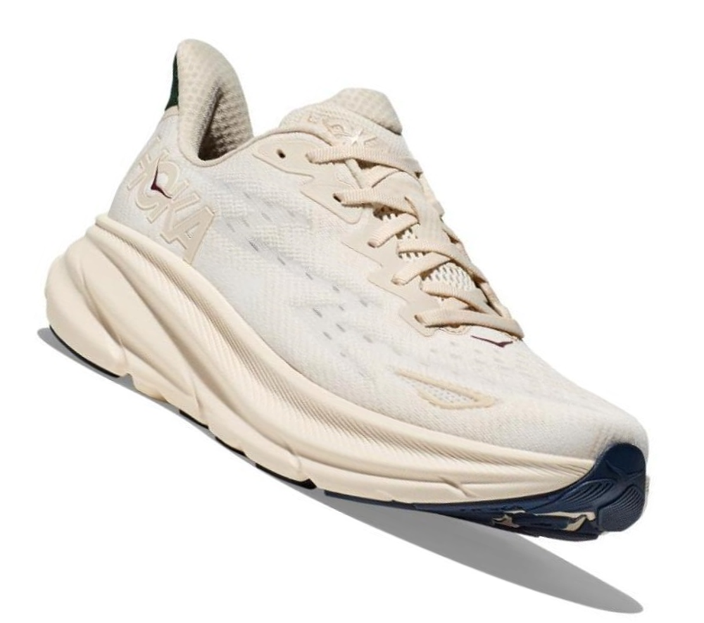 Кроссовки мужские Hoka Clifton 9