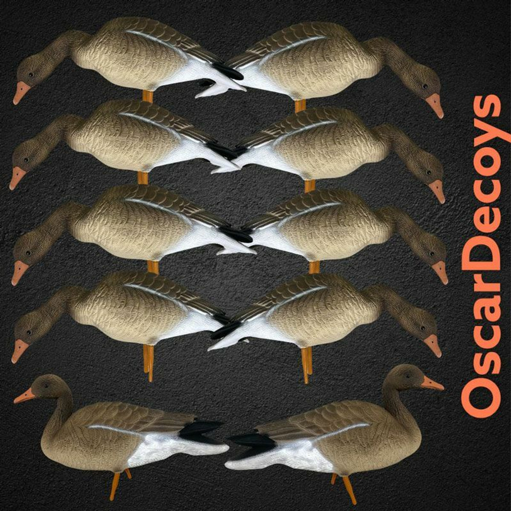 Серый гусь OSCAR DECOYS ELITE 3D Greylag Goose Мягкий пластик 10 шт (8+2)