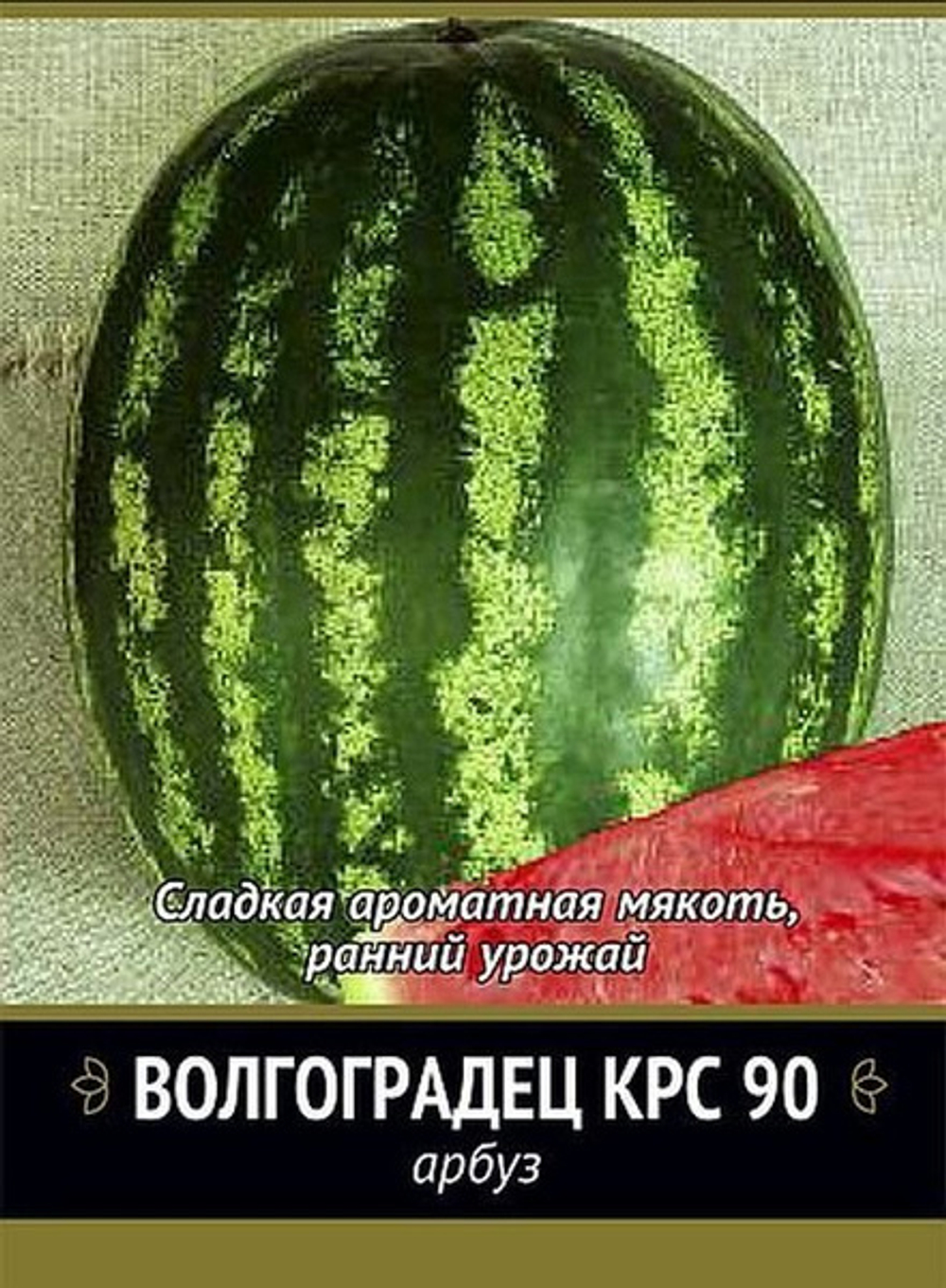 Арбуз Волгоградец КРС 90 15шт (Поиск)