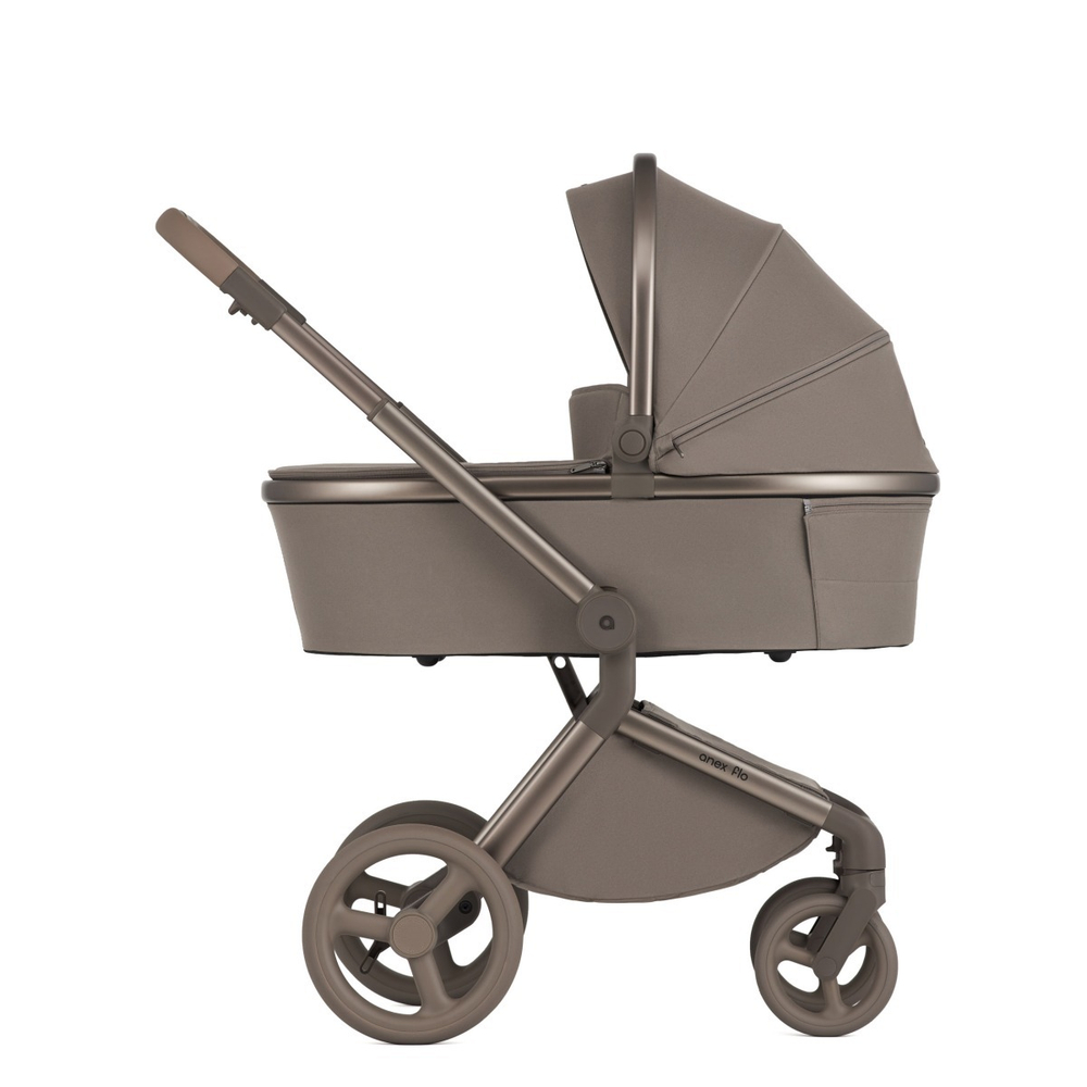 Anex Детская коляска Flo 2 в 1 Yuki