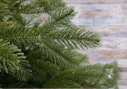 Ель Дворянская 185 см., 100% Литая хвоя, Black Box (74556)