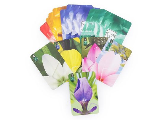 Настольная игра Лотос