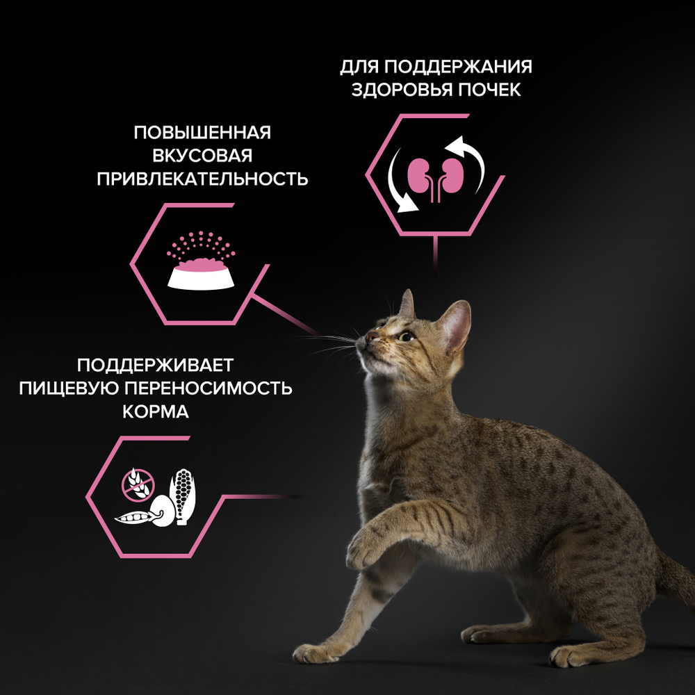 Сухой корм PRO PLAN DELICATE DIGESTION для взрослых кошек с чувствительным пищеварением особые предпочтения в еде ягненок 10 кг