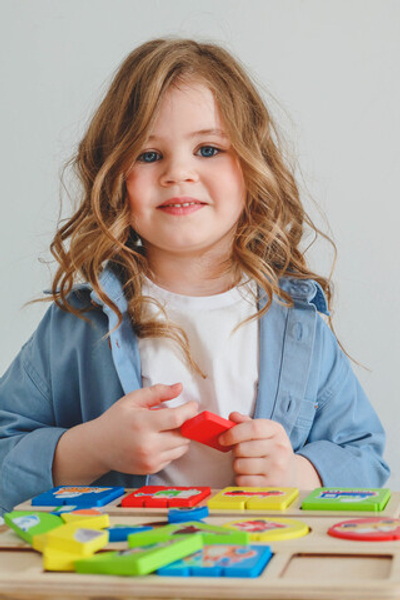 Сортер домашние животные