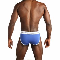 Мужские трусы брифы синие Sergio Dallini SG2940-2