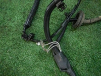 DSCN7613.JPG