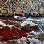 Лодка пвх ALTAIR HDS-420 НДНД