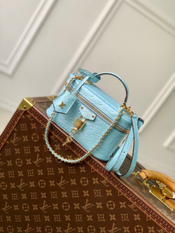 Louis Vuitton Vanity Chain Pouch