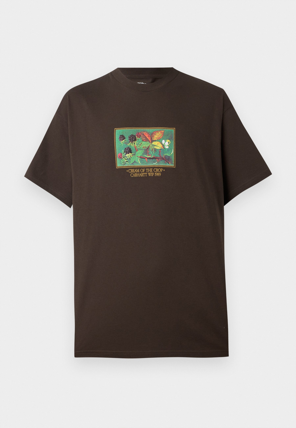 Carhartt WIP Футболка с принтом - Коричневый