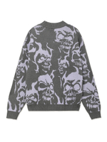 Мужской Свитер Skull