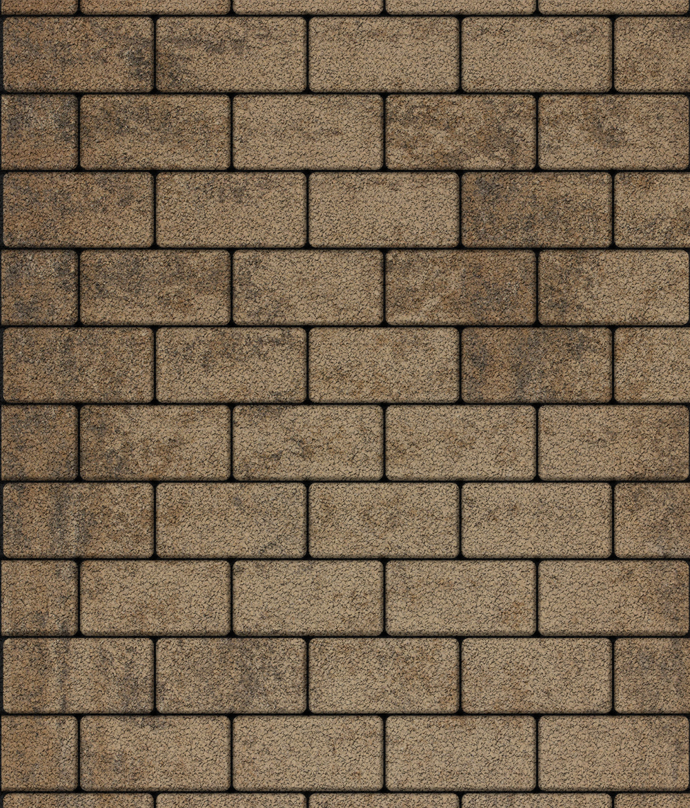 Тротуарная плитка ВЫБОР, форма Прямоугольник 100*200, h=80мм