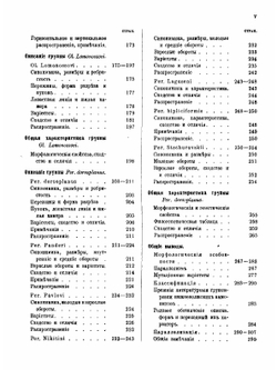 Аммониты нижнего волжского яруса | А. Михальский
