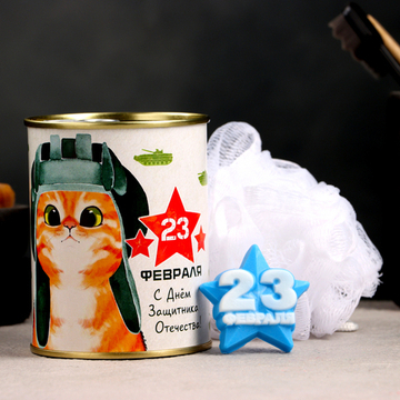 Набор в консервной банке Кот-танкист 23 февраля