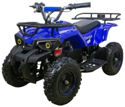 Электроквадроцикл Avantis CLASSIC E 800W NEW