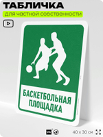 Табличка для частной территории "Баскетбольная площадка", на дом, для участка, организаций и частных территорий, предупреждающая, 40х30 см, Silver Plane x Айдентика Технолоджи